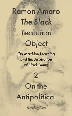 A fekete műszaki tárgy: A gépi tanulásról és a fekete lét törekvéséről - The Black Technical Object: On Machine Learning and the Aspiration of Black Being