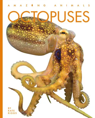 Polipok - Octopuses