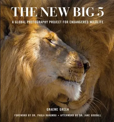 Az új Nagy Ötös: Globális fotóprojekt a veszélyeztetett fajokért - The New Big 5: A Global Photography Project for Endangered Species