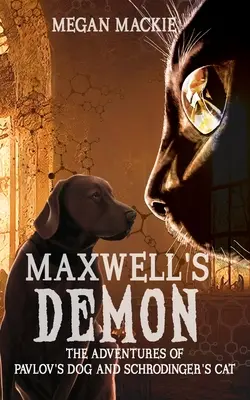 Maxwell démona - Maxwell's Demon