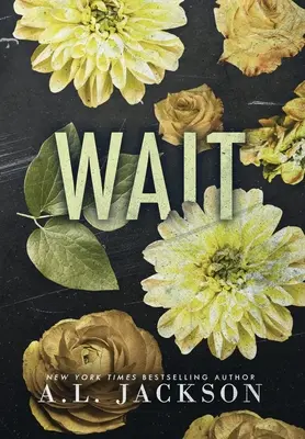 Wait (Keménykötés) - Wait (Hardcover)