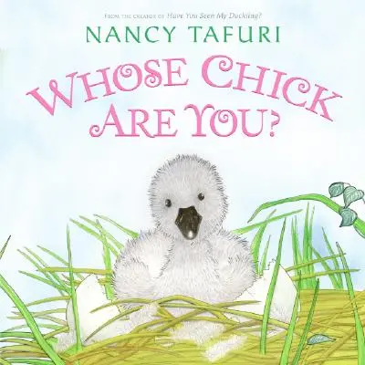 Kinek a csaja vagy te? - Whose Chick Are You?