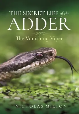 A Vipera titkos élete: Az eltűnő vipera - The Secret Life of the Adder: The Vanishing Viper