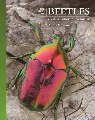 A bogarak élete: A Coleoptera természettörténete - The Lives of Beetles: A Natural History of Coleoptera