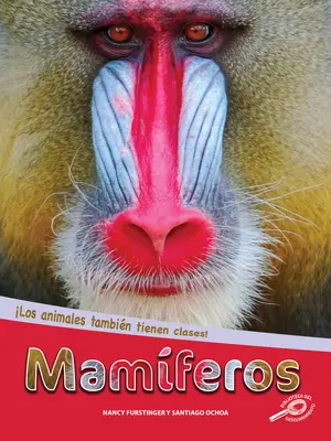 Mamferos: Emlősök - Mamferos: Mammals