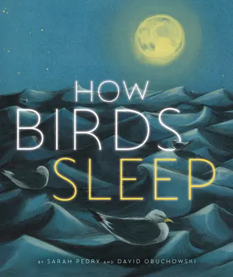 Hogyan alszanak a madarak - How Birds Sleep