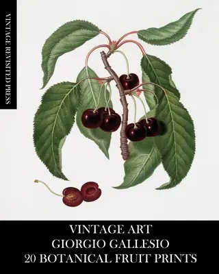 Vintage Art: Giorgio Gallesio 20 botanikai gyümölcs nyomatok - Vintage Art: Giorgio Gallesio 20 Botanical Fruit Prints