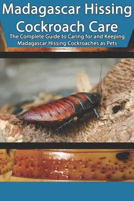 Madagaszkári sziszegő csótány gondozása: The Complete Guide to Caring for and Keeping Madagascar Hissing Cockroaches as Pets - Madagascar Hissing Cockroach Care: The Complete Guide to Caring for and Keeping Madagascar Hissing Cockroaches as Pets