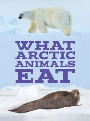 Mit esznek a sarkvidéki állatok: English Edition - What Arctic Animals Eat: English Edition