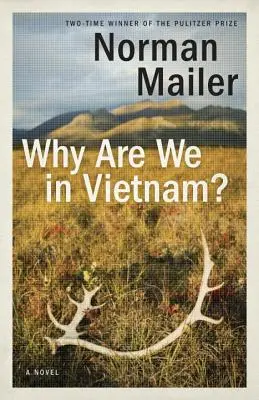 Miért vagyunk Vietnamban? - Why Are We in Vietnam?