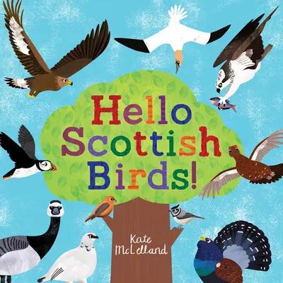 Helló skót madarak - Hello Scottish Birds