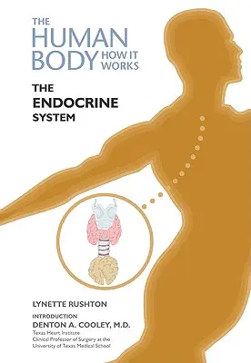 Az endokrin rendszer - The Endocrine System