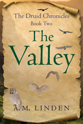 A völgy: A druida krónikák második könyve - The Valley: The Druid Chronicles, Book Two