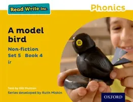 Read Write Inc. Phonics: Sárga készlet 5 Nem szépirodalmi könyv 4 A Model Bird (Madármodell) - Read Write Inc. Phonics: Yellow Set 5 Non-fiction 4 A Model Bird