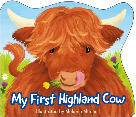 Az első felföldi tehenem - My First Highland Cow