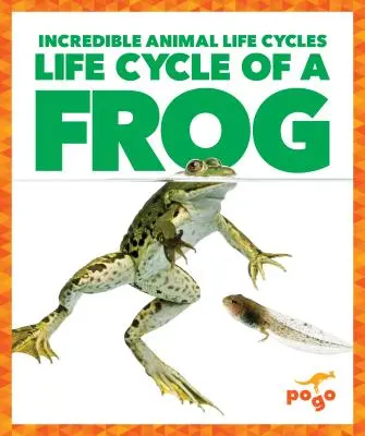 A béka életciklusa - Life Cycle of a Frog