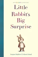 A kisnyúl nagy meglepetése - Little Rabbit's Big Surprise