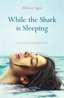 Amíg a cápa alszik - While the Shark is Sleeping