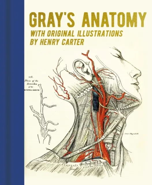 Gray anatómiája - Henry Carter eredeti illusztrációival - Gray's Anatomy - With Original Illustrations by Henry Carter