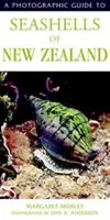 Új-Zéland kagylóinak fényképes kalauza - Photographic Guide To Seashells Of New Zealand