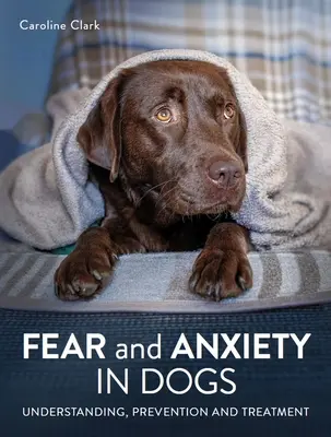 Félelem és szorongás a kutyáknál - Fear and Anxiety in Dogs
