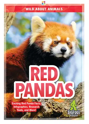 Vörös Pandák - Red Pandas