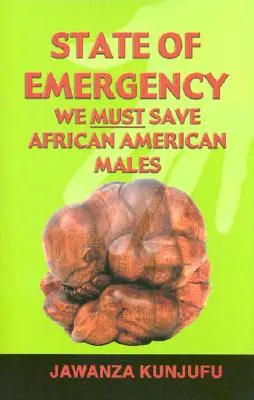 State of Emergency: Meg kell mentenünk az afroamerikai férfiakat - State of Emergency: We Must Save African American Males