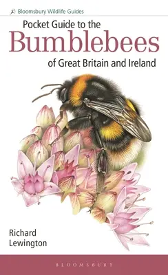 Nagy-Britannia és Írország dongóinak zsebkalauza - Pocket Guide to the Bumblebees of Great Britain and Ireland