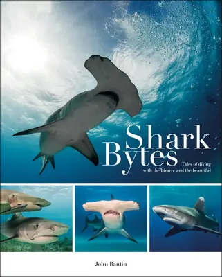 Shark Bytes: Búvármesék a bizarr és gyönyörű búvárkodásról - Shark Bytes: Tales of Diving with the Bizarre and the Beautiful