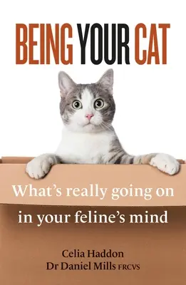 Légy a macskád: Mi zajlik valójában a macskád elméjében - Being Your Cat: What's Really Going on in Your Feline's Mind