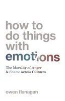 Hogyan tegyünk dolgokat az érzelmekkel: A harag és a szégyen erkölcse a kultúrákban - How to Do Things with Emotions: The Morality of Anger and Shame Across Cultures