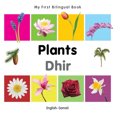 Az első kétnyelvű könyvem-Növények (angol-szomáli) - My First Bilingual Book-Plants (English-Somali)