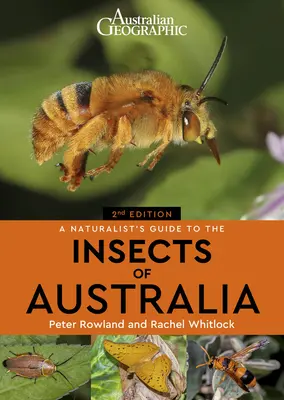 A Naturalist's Guide to the Insects of Australia (Ausztrália rovarainak természettudós kalauza) - A Naturalist's Guide to the Insects of Australia