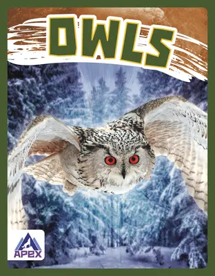 Baglyok - Owls