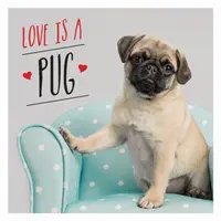 A szerelem egy mopsz - A világ legcukibb kutyáinak mopszos ünneplése - Love is a Pug - A Pugtastic Celebration of The World's Cutest Dogs