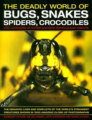 A bogarak, kígyók, pókok, krokodilok halálos világa: És több száz más elképesztő hüllő és rovar. - The Deadly World of Bugs, Snakes, Spiders, Crocodiles: And Hundreds of Other Amazing Reptiles and Insects