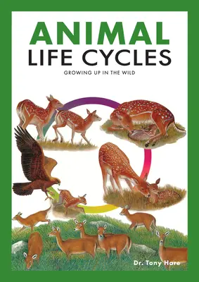 Állati életciklusok: Az állatok életciklusai: Az állatok életének felfedezése a vadonban - Animal Life Cycles: Discovering How Animals Live in the Wild