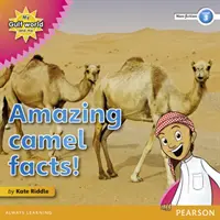 My Gulf World and Me 3. szintű nem-fikciós olvasókönyv: Bámulatos tevetények! - My Gulf World and Me Level 3 non-fiction reader: Amazing camel facts!