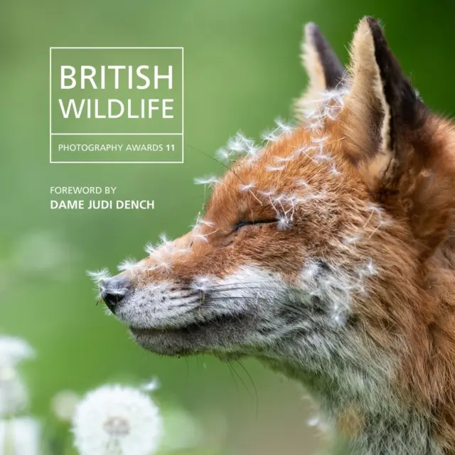 Brit Természetfotó-díj 2023 - British Wildlife Photography Awards 2023