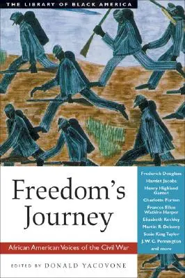 A szabadság útja: A polgárháború afroamerikai hangjai - Freedom's Journey: African American Voices of the Civil War