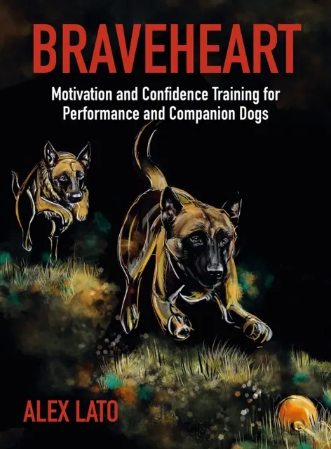 Braveheart - Motivációs és bizalomtréning teljesítmény- és társas kutyák számára - Braveheart - Motivation and Confidence Training For Performance and Companion Dogs