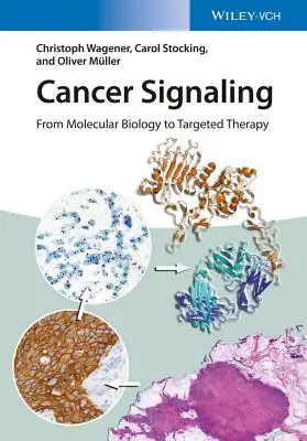 Cancer Signaling: A molekuláris biológiától a célzott terápiáig - Cancer Signaling: From Molecular Biology to Targeted Therapy