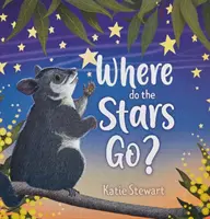 Hová tűnnek a csillagok? - Where do the stars go?