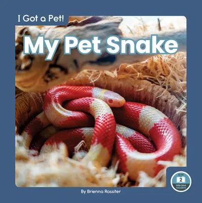 Házikígyóm - My Pet Snake