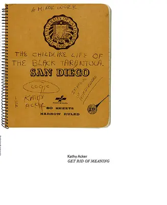 Kathy Ackerová: Zbavte se smyslu - Kathy Acker: Get Rid of Meaning