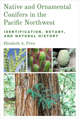 Őshonos és díszítő tűlevelűek a csendes-óceáni északnyugaton: Azonosítás, botanika és természetrajz - Native and Ornamental Conifers in the Pacific Northwest: Identification, Botany and Natural History