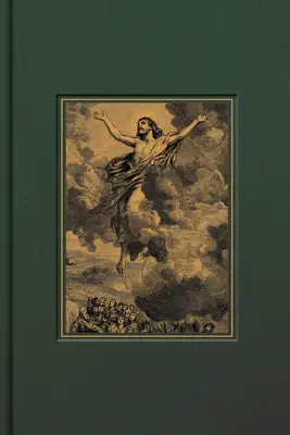 CSB Díszített Biblia, Erdei szövet-felületű, tábla fölött - CSB Adorned Bible, Forest Cloth-Over-Board