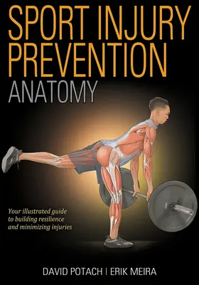 Sportsérülések megelőzése anatómia - Sport Injury Prevention Anatomy