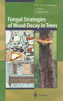 A fák fakopásának gombastratégiái - Fungal Strategies of Wood Decay in Trees