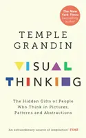 Vizuális gondolkodás - A képekben, mintázatokban és absztrakciókban gondolkodó emberek rejtett adottságai - Visual Thinking - The Hidden Gifts of People Who Think in Pictures, Patterns and Abstractions